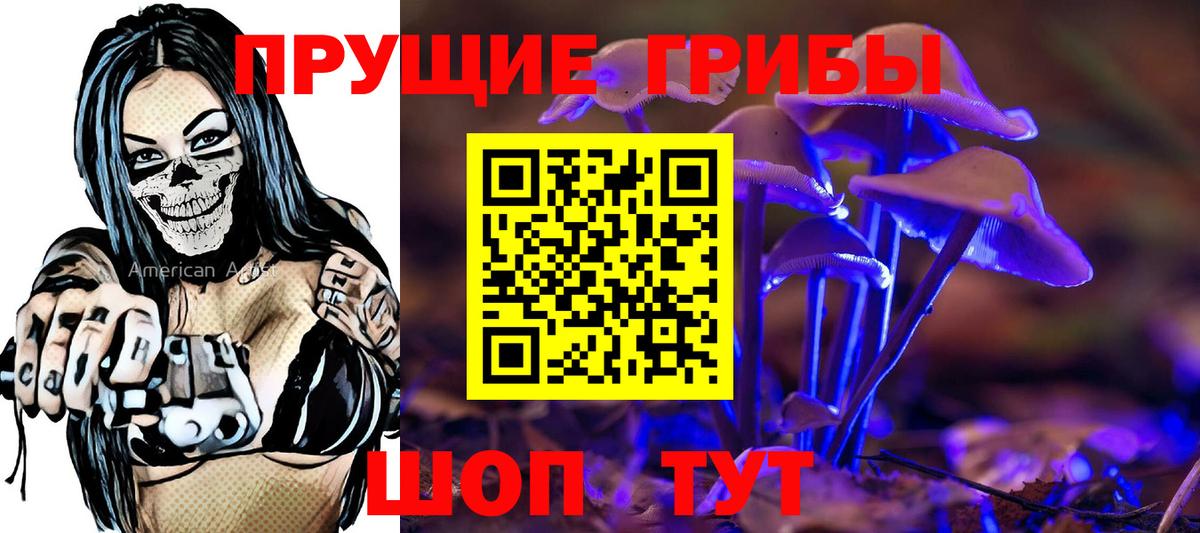 Галлюциногенные грибы GOLDEN TEACHER  Вход с VPN  Тимашёвск 